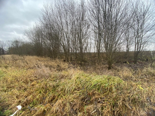 Купить земельный участок на улице Визитная в Владимире. Вариант № 9087396, 8, площадь -  квм, цена 680000 рублей