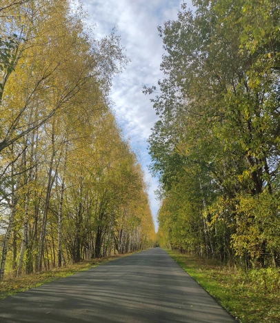 Купить дом на улице Пушкина в Владимире. Вариант № 6921782, 17, площадь -  квм, цена 2000000 рублей