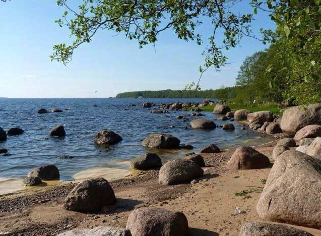 Купить однокомнатную квартиру в Ленинградской области. Вариант № 8215632, 4, площадь -  квм, цена 1650000 рублей