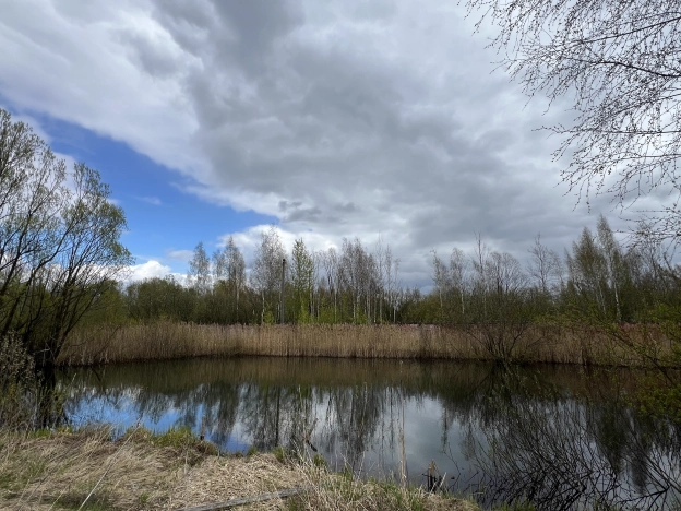 Купить коммерческую недвижимость в Рыбинске. Вариант № 41580, 3, площадь -  квм, цена 17000000 рублей