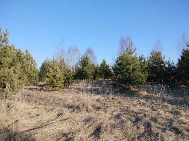 Купить земельный участок в Вязниках. Вариант № 32402, 5, площадь -  квм, цена 340000 рублей