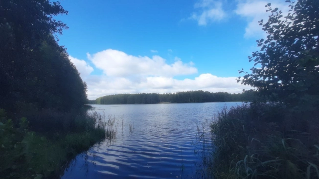 Купить земельный участок в Владимире. Вариант № 3155308, 19, площадь -  квм, цена 680000 рублей