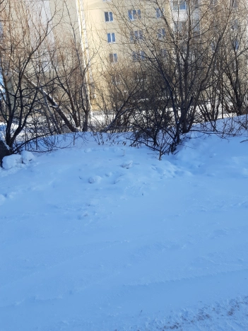 Купить земельный участок на улице Гумбольдта в Тобольске. Вариант № 4996, 1, площадь -  квм, цена 1650000 рублей