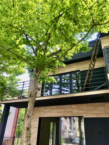 Купить таунхаус в Калининграде. Вариант № 4347, 17, площадь -  квм, цена 22400000 рублей