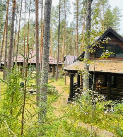 Купить дом в Городеце. Вариант № 45151, 6, площадь -  квм, цена 45000000 рублей