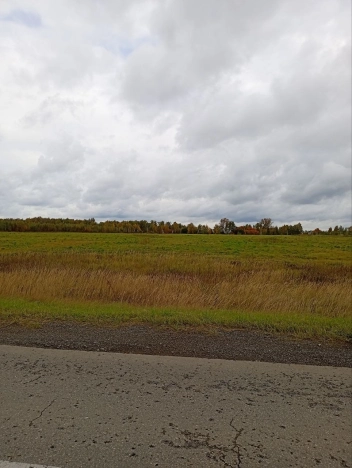 Купить земельный участок на улице 8-я линия в Нижегородской области. Вариант № 5447174, 2, площадь -  квм, цена 50000000 рублей