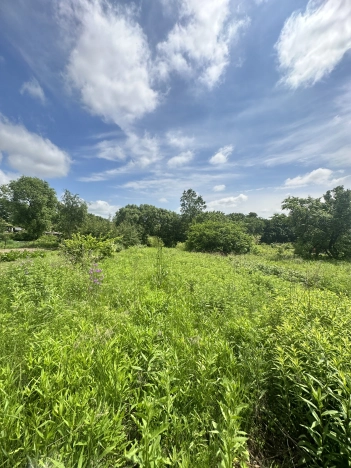 Купить земельный участок на улице Калугина в Уссурийске. Вариант № 8031, 14, площадь -  квм, цена 700000 рублей