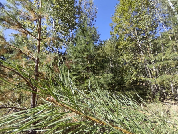 Купить земельный участок в районе Северный в Калуге. Вариант № 29277, 0, площадь -  квм, цена 497000 рублей