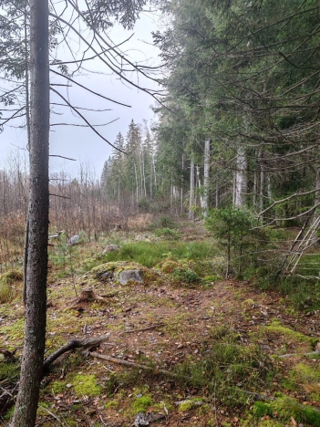 Купить земельный участок у метро Рыбацкое в Ленинградской области. Вариант № 8999, 17, площадь -  квм, цена 25000000 рублей