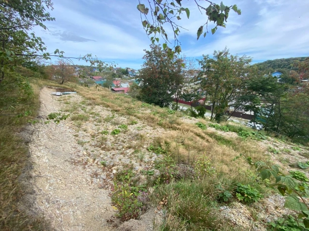 Купить земельный участок в Южно-Сахалинске. Вариант № 14065, 7, площадь -  квм, цена 2900000 рублей