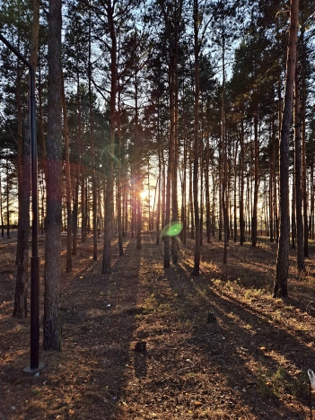 Купить земельный участок в Рязани. Вариант № 26368, 2, площадь -  квм, цена 4980500 рублей