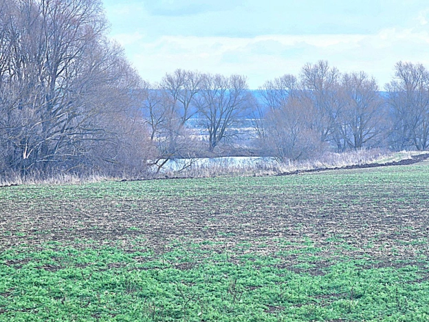 Купить земельный участок на улице Рудничная в Воскресенске. Вариант № 17926, 6, площадь -  квм, цена 470000 рублей