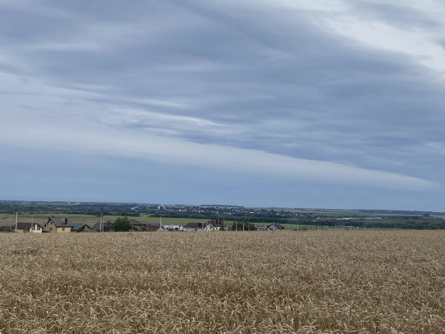 Купить земельный участок в Ярославской области. Вариант № 7326, 7, площадь -  квм, цена 2360000 рублей