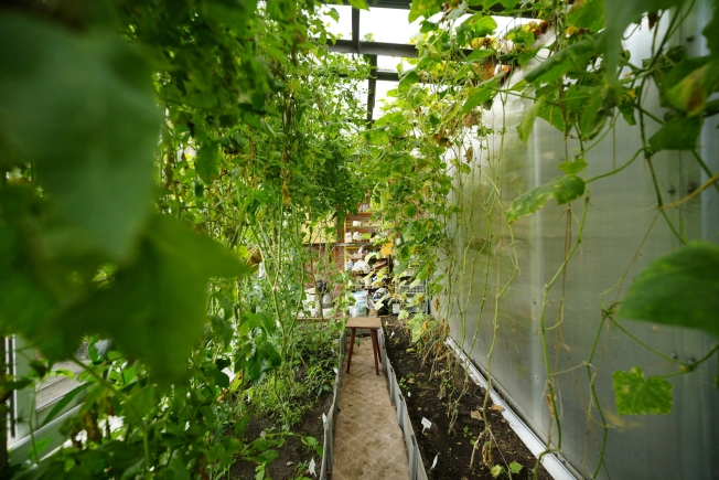 Купить дом в Микрорайоне Порт-Артур в Омске. Вариант № 5821202, 30, площадь -  квм, цена 12000000 рублей