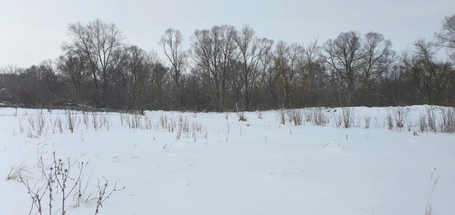 Купить земельный участок в Пензе. Вариант № 28492, 6, площадь -  квм, цена 1330000 рублей