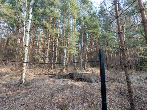 Купить земельный участок в Раменском. Вариант № 33115, 6, площадь -  квм, цена 2500000 рублей