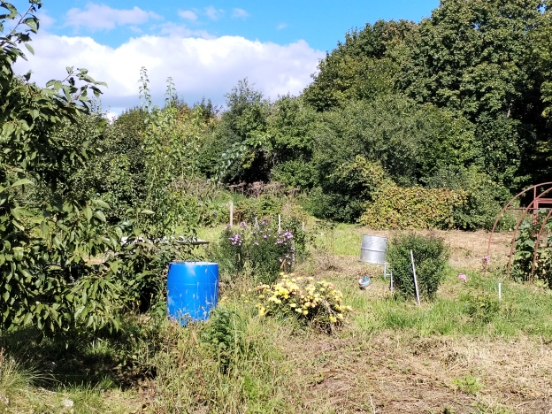 Купить дом в Гороховеце. Вариант № 3796511, 23, площадь -  квм, цена 1650000 рублей