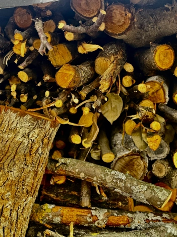 Купить земельный участок в Воронежской области. Вариант № 5922489, 5, площадь -  квм, цена 550000 рублей