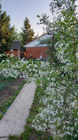 Купить дом в Рязанской области. Вариант № 10866117, 14, площадь - квм, цена 5590000 рублей