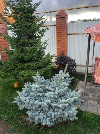 Купить дом на улице Благодарная в Бердске. Вариант № 24050, 26, площадь -  квм, цена 11900000 рублей