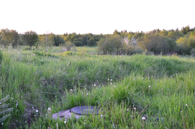 Купить земельный участок на улице Полевая в Вологодской области. Вариант № 2098, 6, площадь -  квм, цена 278250 рублей