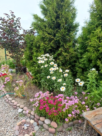 Купить дом в Зеленоградске. Вариант № 60949, 21, площадь -  квм, цена 5500000 рублей