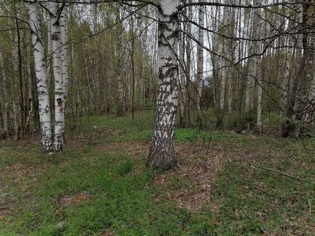 Купить земельный участок в Судогде. Вариант № 39125, 7, площадь -  квм, цена 390000 рублей