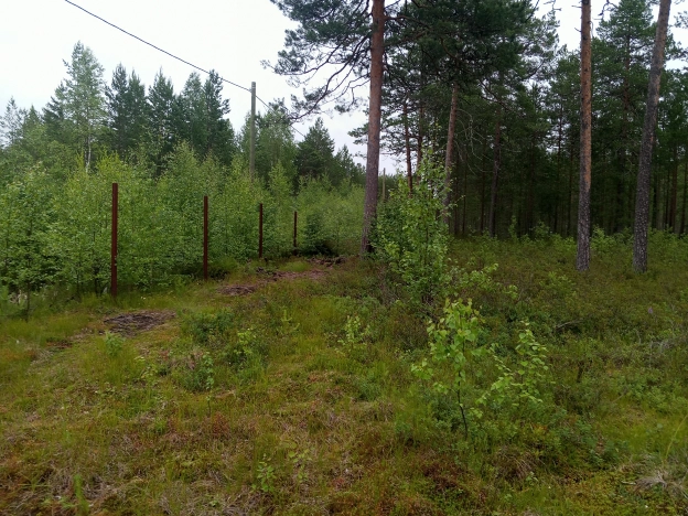 Купить земельный участок в Республике Коми. Вариант № 31044, 0, площадь -  квм, цена 160000 рублей