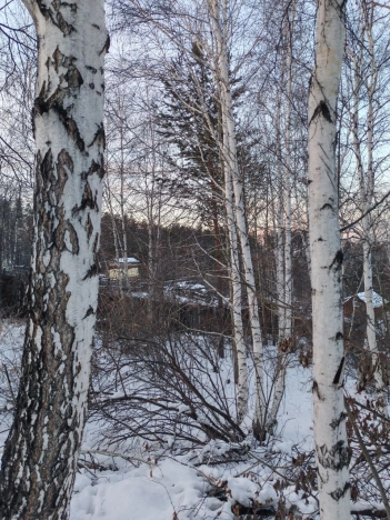 Купить земельный участок в Иркутске. Вариант № 9987392, 12, площадь -  квм, цена 350000 рублей