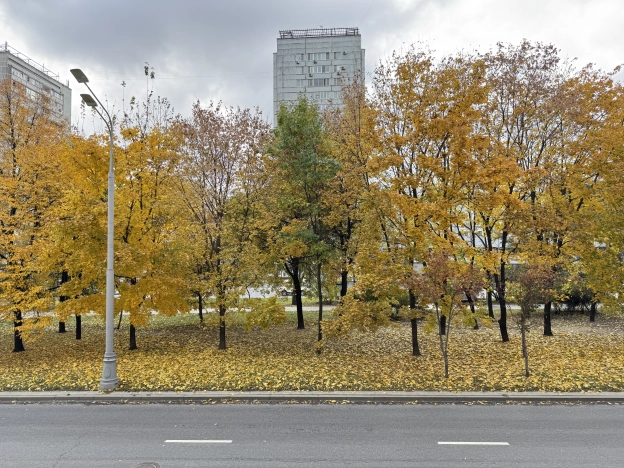 Купить квартиру в Москве. Вариант № 7592354, 27, площадь - квм, цена 44000000 рублей