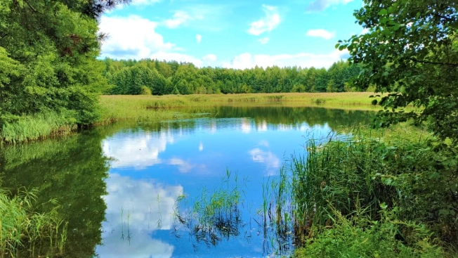 Купить земельный участок в Владимире. Вариант № 221397, 5, площадь -  квм, цена 200000 рублей