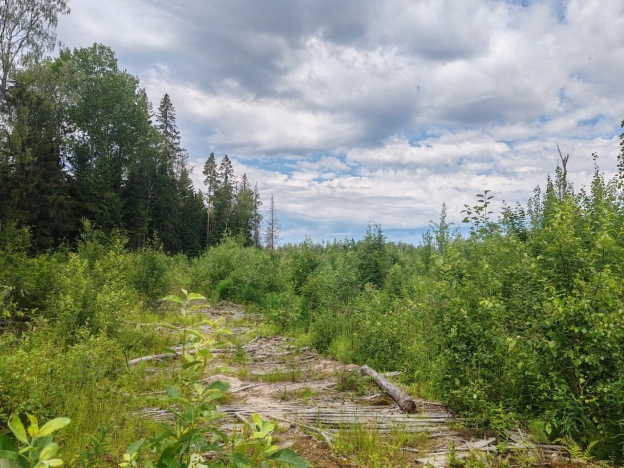 Купить земельный участок у метро Рыбацкое в Ленинградской области. Вариант № 8999, 6, площадь -  квм, цена 25000000 рублей