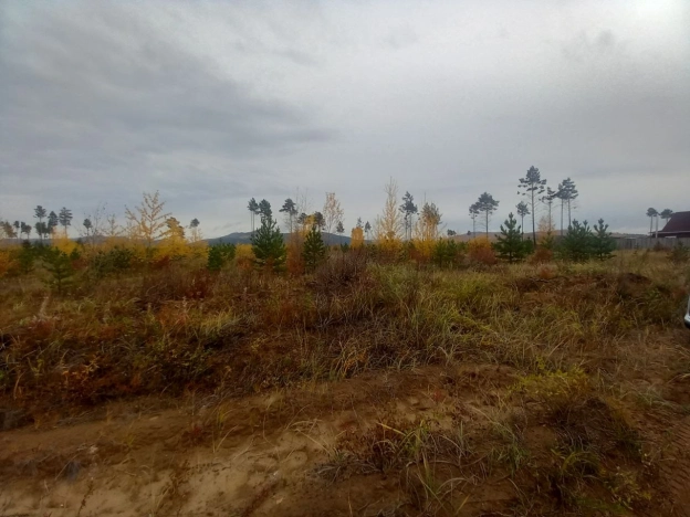 Купить земельный участок в Чите. Вариант № 5312235, 5, площадь -  квм, цена 5000000 рублей