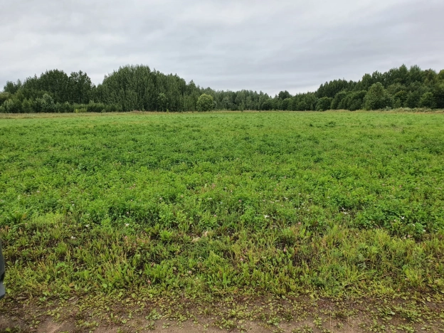 Купить земельный участок в Вологодской области. Вариант № 5299, 0, площадь -  квм, цена 1600000 рублей