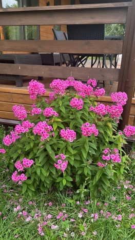 Купить дом в Йошкар-Оле. Вариант № 5831968, 13, площадь -  квм, цена 13900000 рублей