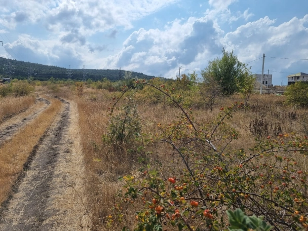 . Вариант № 3423831, 6, площадь -  квм, цена 2100000 рублей