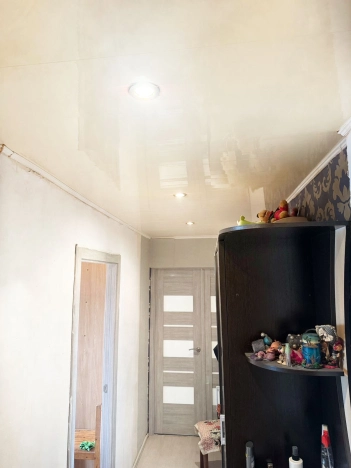 Купить квартиру на вторичке на улице Южно-Моравская в Воронеже. Вариант № 19455, 8, площадь -  квм, цена 3899000 рублей