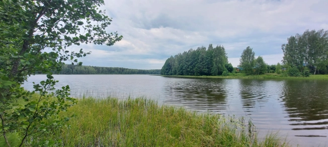Купить дачу в Московской области. Вариант № 60255, 23, площадь -  квм, цена 3150000 рублей