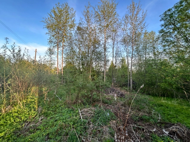 Купить земельный участок на улице Белые Ночи в Вологодской области. Вариант № 8307, 6, площадь -  квм, цена 150000 рублей