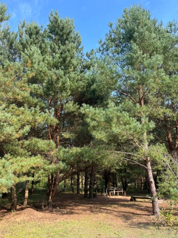 Купить земельный участок в Калининграде. Вариант № 14392, 2, площадь - квм, цена 5300000 рублей