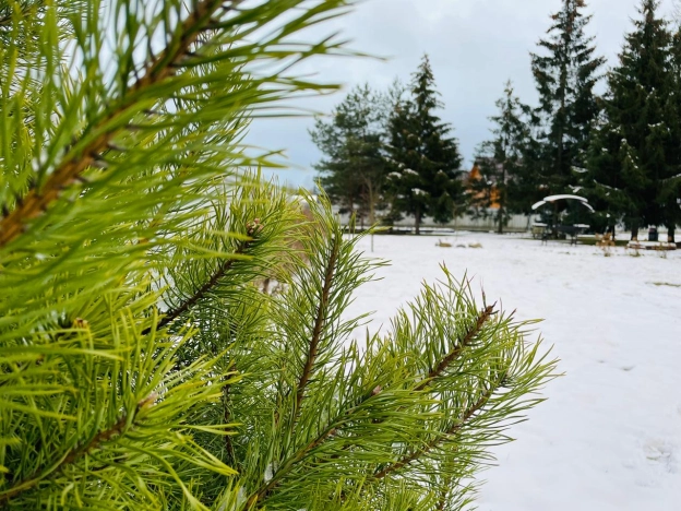 Купить дом в Всеволожске. Вариант № 39707, 16, площадь -  квм, цена 15300000 рублей