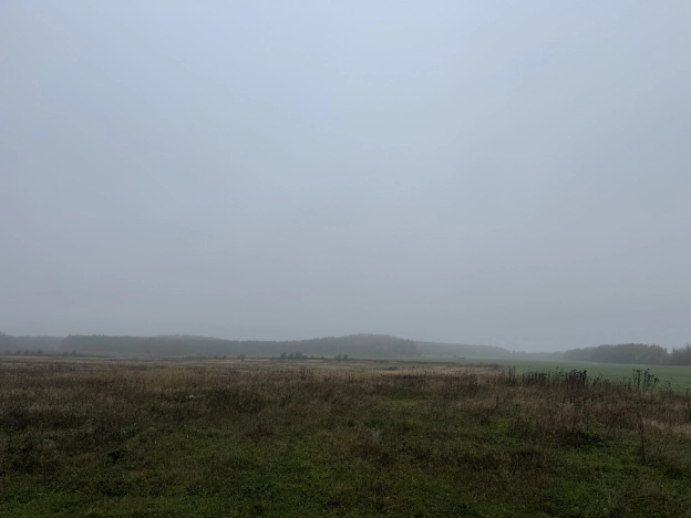 Купить земельный участок на улице Озерная в Калининградской области. Вариант № 36500, 4, площадь -  квм, цена 6500000 рублей