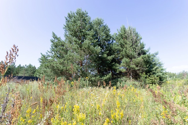 Купить земельный участок на улице Журавлиха в Владимире. Вариант № 44659, 8, площадь -  квм, цена 2000000 рублей