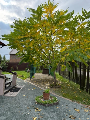 Купить дом в районе Заельцовский в Новосибирске. Вариант № 4131512, 12, площадь -  квм, цена 17900000 рублей