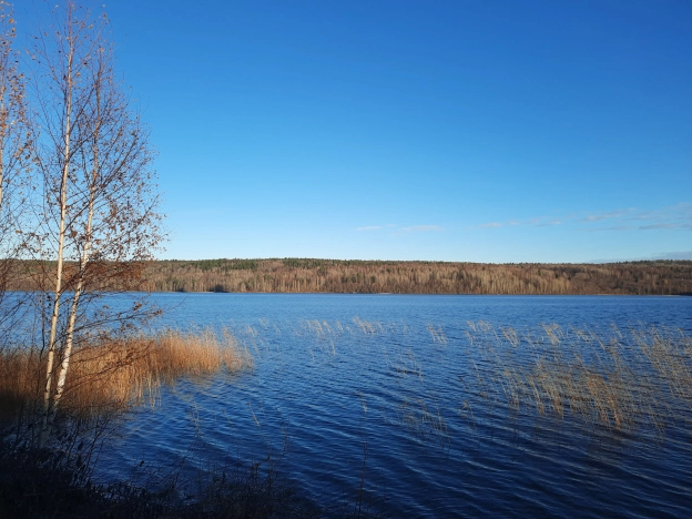Купить земельный участок на улице Цветочная в Республике Карелия. Вариант № 2120899, 0, площадь -  квм, цена 880000 рублей