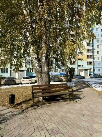 Купить однокомнатную квартиру в Новосибирской области. Вариант № 9448584, 14, площадь -  квм, цена 3900000 рублей