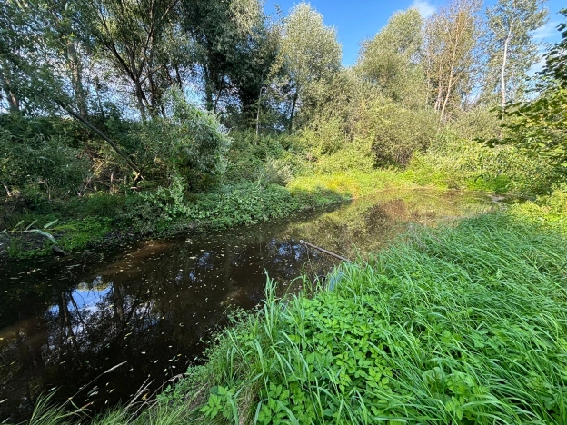Купить дом в Калуге. Вариант № 11926, 5, площадь -  квм, цена 2800000 рублей