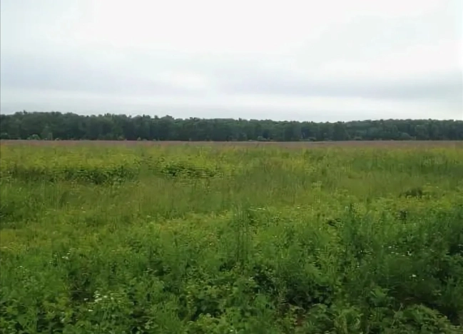 Купить земельный участок на улице Загородная в Ярославской области. Вариант № 15254, 6, площадь -  квм, цена 500000 рублей