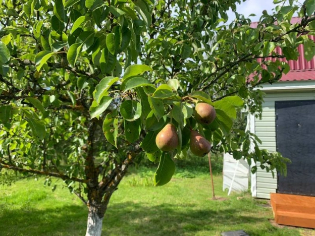 Купить дачу в Москве. Вариант № 10082680, 19, площадь - квм, цена 2400000 рублей