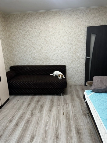 Купить однокомнатную квартиру на улице Коммунистическая в Калининграде. Вариант № 22468, 5, площадь -  квм, цена 5050000 рублей